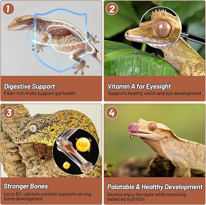 Gecko Food, Fruit Mix Apricot and Insects Gecko Diet