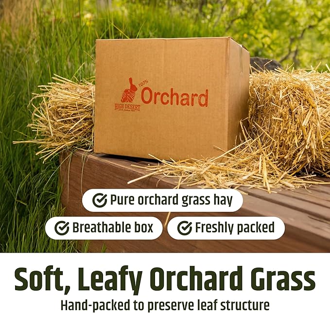 High Desert Orchard Grass Hay, Natural Orchard Hay for Rabbits Guinea Pigs Hamsters and Chinchillas, Soft Leaf Texture for Grazing and Foraging, Small Pet Supplies, Fresh Hand Packed Hay Box, 16 Lb