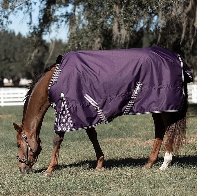 Equinavia Norse 200g Medium Weight Horse Blanket | Waterproof Winter Turnout - Black - 66 in - Grape Purple - 69 in