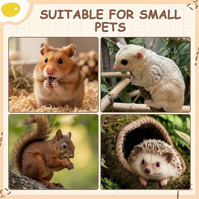 Qunclay 5 Pcs Hamster Platform Wooden Ladder Play Hidden House Game Climbing Toy with Hamster Bath Container Decor Cage Accessories for Dwarf Syrian Mice Degus Gerbils Squirrel and Small Animals