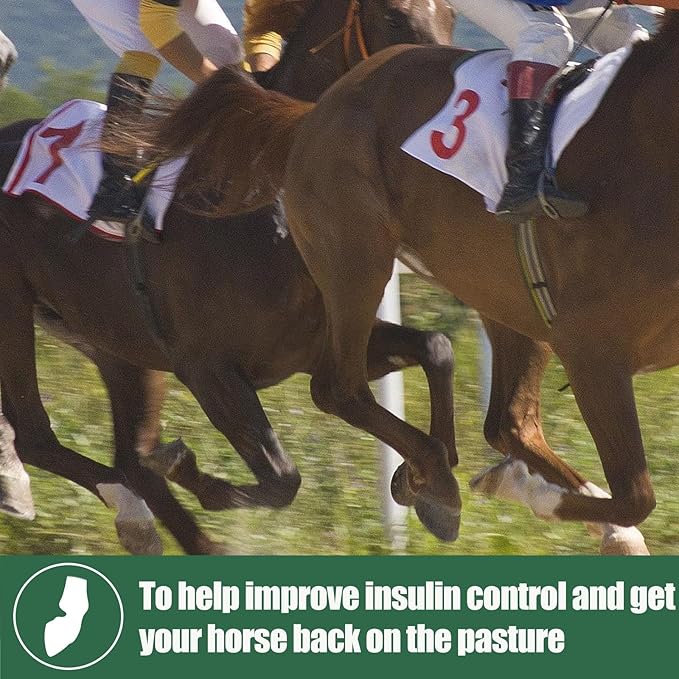 Insulin Resistance Supplement for Horses - Horse Laminitis Treatment-Natural Laminitis Herbal Powder for Sore Feet & Chronic Laminitis, 1.87lb (90-Day Supply)
