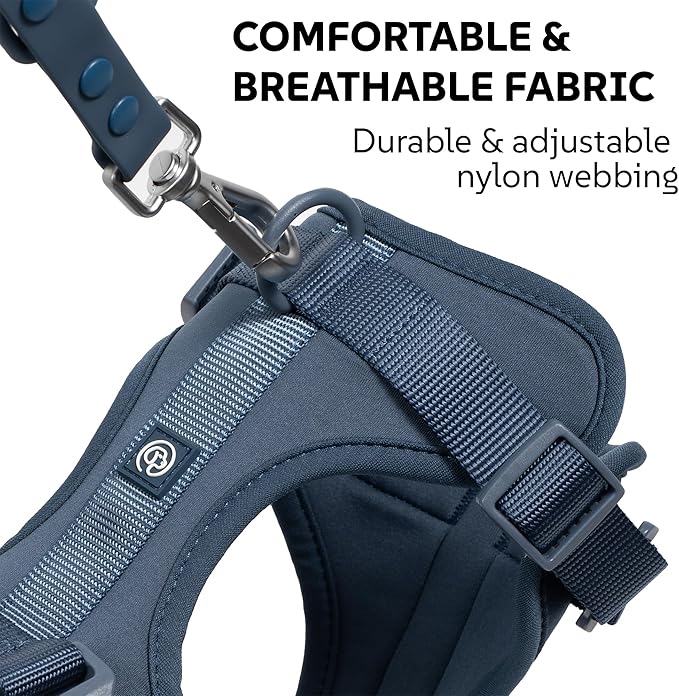 Dog Harness, Collar & Leash Set, Adjustable No Pull Harness with 3 Leash Clips, Waterproof Matching Collar & Leash, Breathable Comfort (Blue, Small)