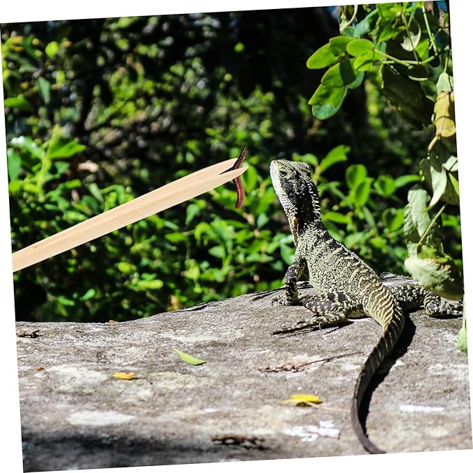 balacoo Bamboo Tweezers for Reptiles Lightweight Feeding Tool for Lizards and Turtles Flexible Design for Safe and Convenient Use Durable Feeding Clip for Terrarium Care