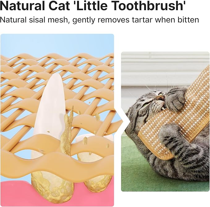 Potaroma Cat Toys Pack of 2 with 6000mg A+ Organic Catnip, Sisal Material - Image 4