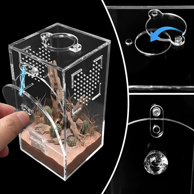 Acrylic Spider Enclosure 2 Pack, No Assembly Mixed Size Terrarium for Jumping Spider & Tarantula (M)