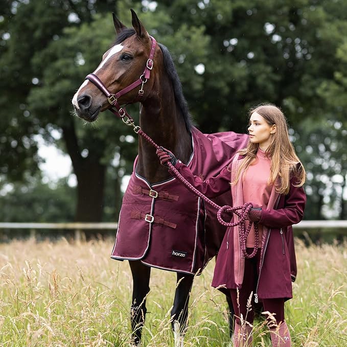 Horze Glasgow Light Weight Waterproof Turnout Horse Sheet (No Fill) - Burgundy - 75 in