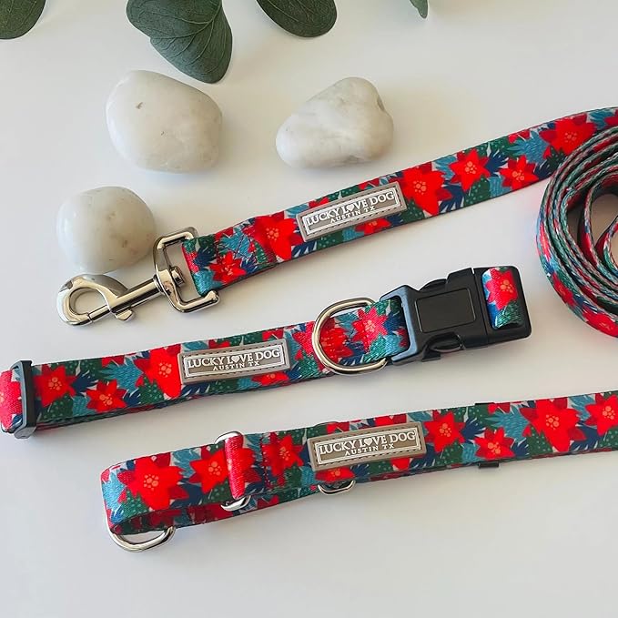 Lucky Love Dog - Easy Click Noel Dog Collar with Leash Set Combo, Durable & Comfortable for Male & Female Dogs, Pet Collar for Small Dogs, Secure Fit - Noel Combo, XS