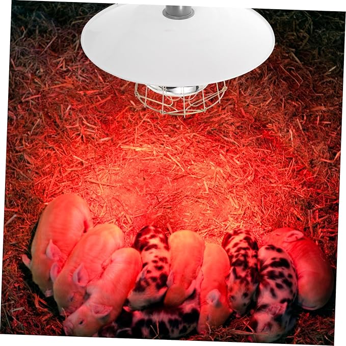 BESPORTBLE 150w Pet Heat Preservation Lamp Durable Poultry Breeding Warm Lamp for Livestock Heating for Newborns Elderly Pets Ceramic Base Safe Reliable