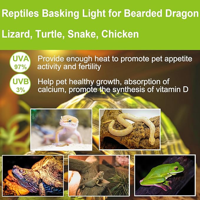 UVB UVA Reptile Light Bulb 25W Bulb for Reptiles and Amphibians Tanks, Turtle Bearded Dragon Lizard Cages Frogs Heat Lamp Replacement Bulb, Pack of 6