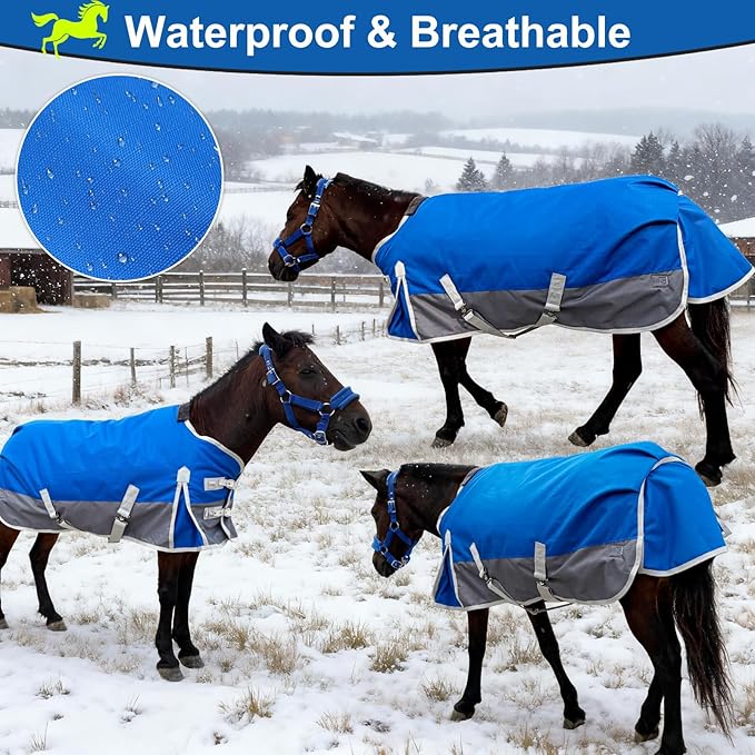 Winter Horse Blanket for Pony, Foal, Donkey, Mini Horses| Turnout Blanket for Winter | Waterproof | 1200 Denier | Blue Grey | 50 Inch