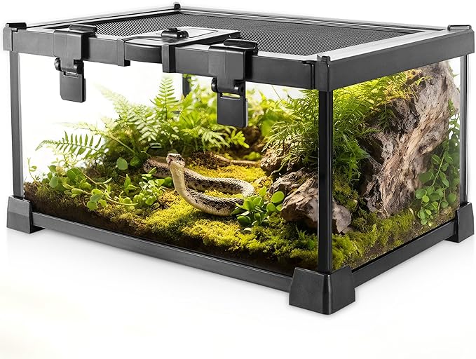 Mini Reptile Glass Terrarium Vivarium 12'' x 8'' x 6'' Full View Tank Small Amphibians Glass Habitat Cage with Feeding Slot & Box Lock Buckle