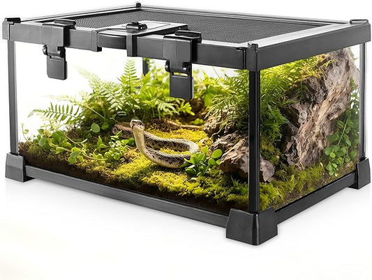 Mini Reptile Glass Terrarium Vivarium 12'' x 8'' x 6'' Full View Tank Small Amphibians Glass Habitat Cage with Feeding Slot & Box Lock Buckle