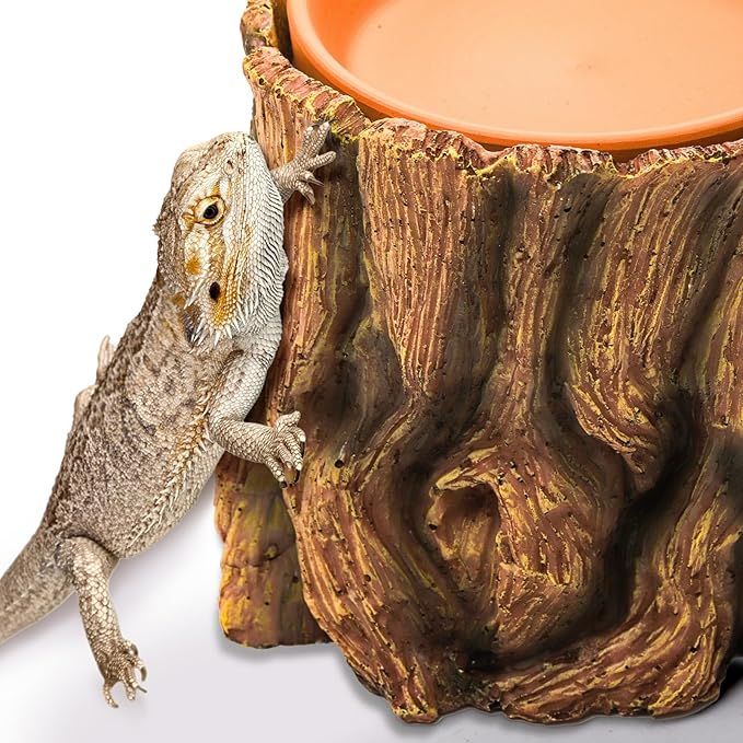 Cididu Reptile Hide Cave Resin, 2 in 1 Reptile Hideout Cave and Food Tray, Reptile Shelter with Detachable Food Bowl, Leopard Gecko Keeper Habitat Help Shedding for Amphibian, Snake, Lizard, Turtle