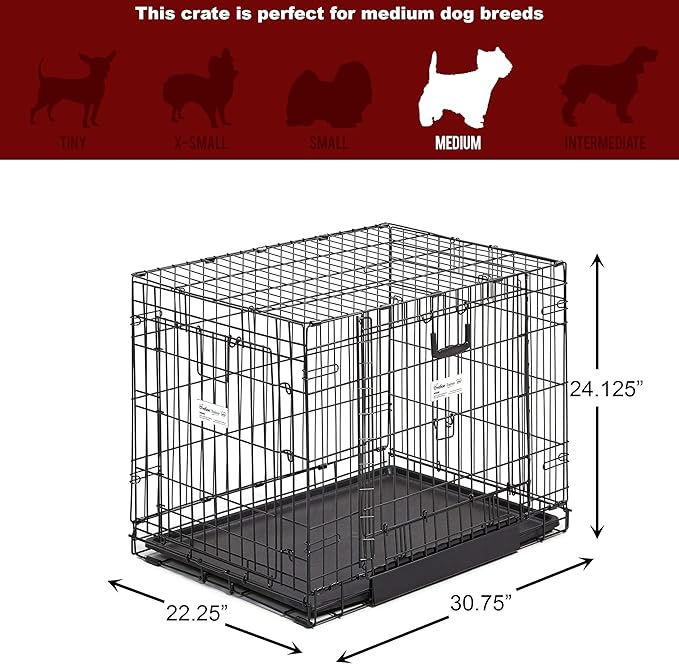 MidWest Homes for Pets Medium Ovation Double Door 30-inch Folding Metal Dog Crate, Front and Up & Away Side Doors, Space-Saving Design