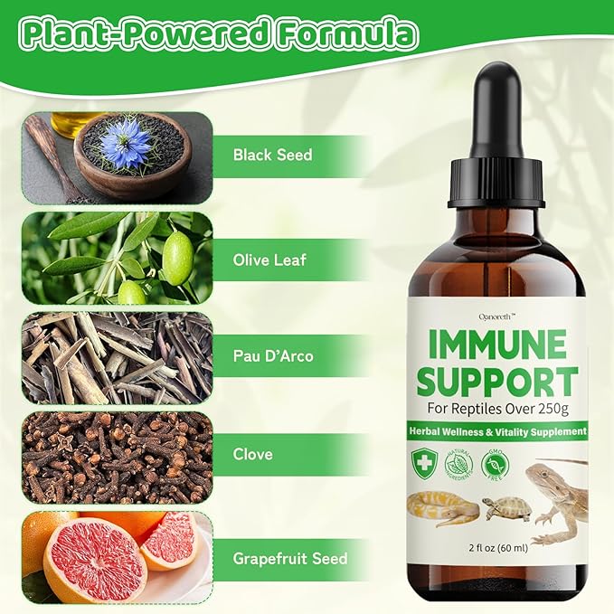 Herbal Supplement for Reptiles – Immune, Respiratory, Appetite & Digestion Support – For Bearded Dragon, Ball Python, Iguana & Tortoise – Alcohol-Free Liquid Drops with Black Seed Oil – 2 fl oz
