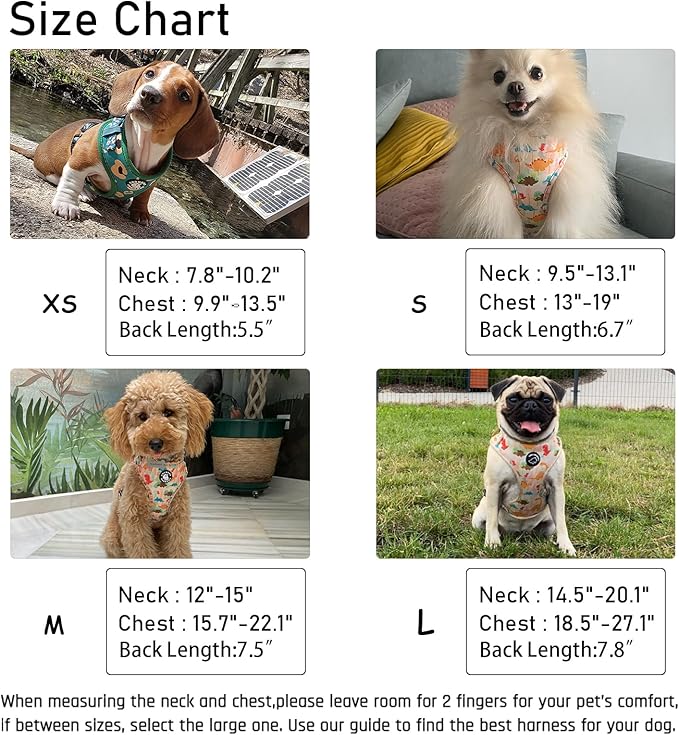 Dog Harness and Leash Set, Adjustable Dog Harness, Dog Leash, No Pull No Choke Puppy Harnesses for Walking Training for Small, Medium Pet (Little Love, M(Chest 17.7-23.1", Neck 13.4-16.4"))