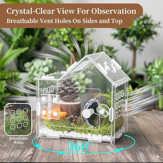 Jumping Spider Enclosure for Small Species, Acrylic Reptile Terrarium Habitat with Feeding Hole for Tarantulas, Praying Mantis, Gecko,Insects, Hermit Crab, Lizard, Snails Isopods - 6"*4"*6"