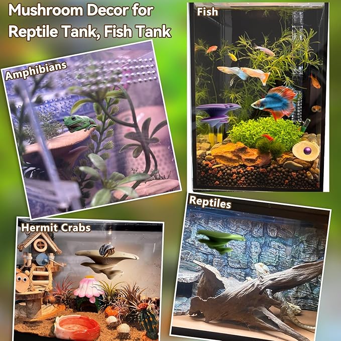 Mushroom Terrarium Decor & Climbing Hold Kit,with 12 Rock Holds, Suction Cups & Adhesive Dots for Geckos, Frogs, Small Lizards & Snakes in Dry/Semi-Moist Habitats (Lime Green)