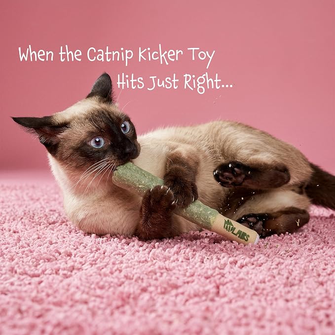 LIT LABS Cat Doobie 3 Pack Catnip Toys for Cats, Funny Cat Toys, Safe Kitten Teething Chew and Kicker Toys, Stress-Relieving Indoor Cat Gifts that Hit Different - Image 5