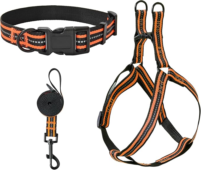 Mile High Life Night Reflective Double Adjustable Band Nylon Small Puppy Pet Dog Combo Collar Leash and Harness Set (Reflective Stripe Orange, Large (Pack of 3))