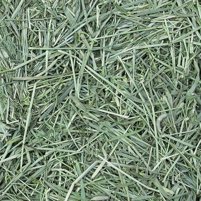 Eaton Pet and Pasture Naturally Grown, Premium, 1st Cut Blend, Western Timothy Hay Orchard Blend, Small Animal Food, Sustainable, Eco-Friendly, Farmer-Owned, 6LB-Box. (Pack of 2)