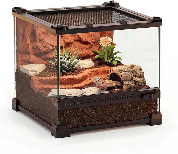 10"x10"x8" Mini Reptile Glass Terrarium, Front-Opening Vivarium with Escape-Proof Lock & Feeding Door, for Reptiles & Inverts, Like Fat-Tailed Geckos, Tarantulas, Scorpions & Bettles