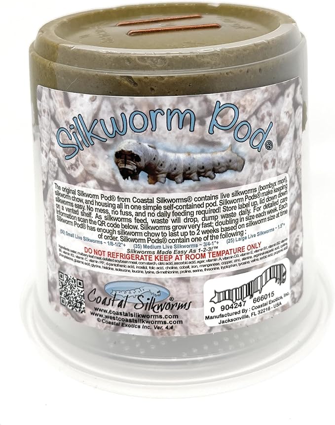 Small Silkworm Pod Live Silkworms & Food 50 Count Small (Pack of 1)