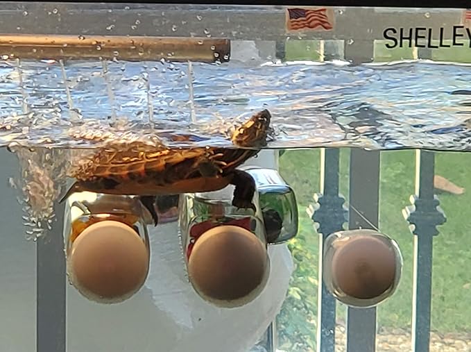 Aquarium Decor Plastic Plants Suction Cups 2 Large 1 Medium Bottles Turtles Pets Platforms Earrings Handmade
