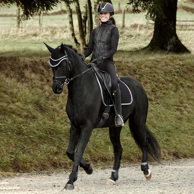 HORZE Adepto Fetlock Boots - Black - Cob