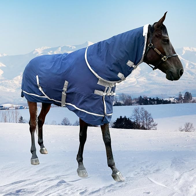 1200D Horse Turnout Blanket with Detachable Neck Cover, Medium Weight Water-Resistant Blanket，Winter Horse Blanket for Real Horses(78in/145cm)