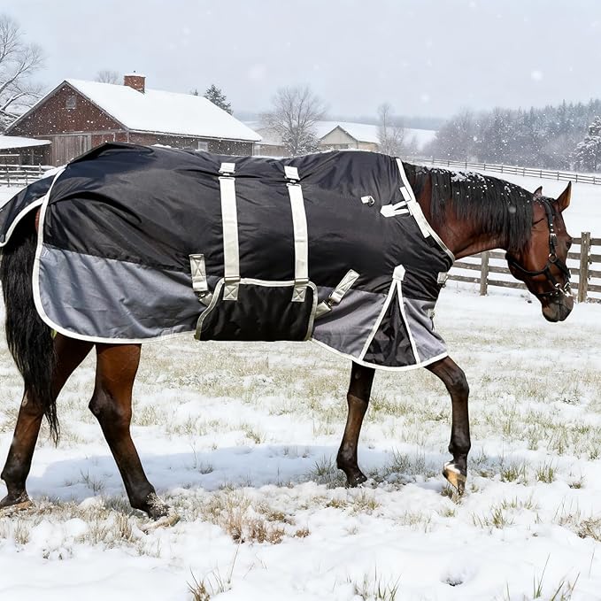 72" Horse Blanket for Real Horses – 1200 Denier Medium Weight Horse Winter Blanket with Standard Neck and Belly Band – Water - Resistant – Black-Grey – 220g Fill