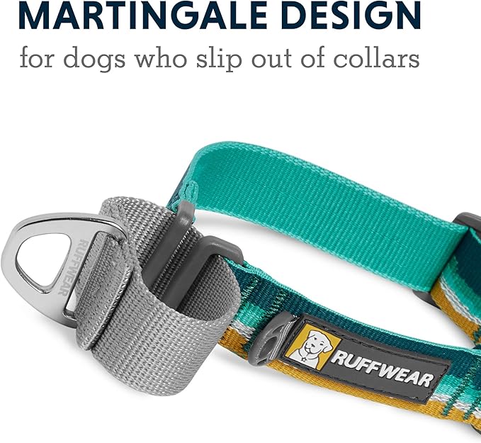 Ruffwear, Web Reaction Dog Collar, Escape-Proof Security Buckle, Adjustable Anti-Slip Martingale Collar with Durable Nylon Tubelok Webbing & Silent ID Attachment, Seafoam, 23"-26"
