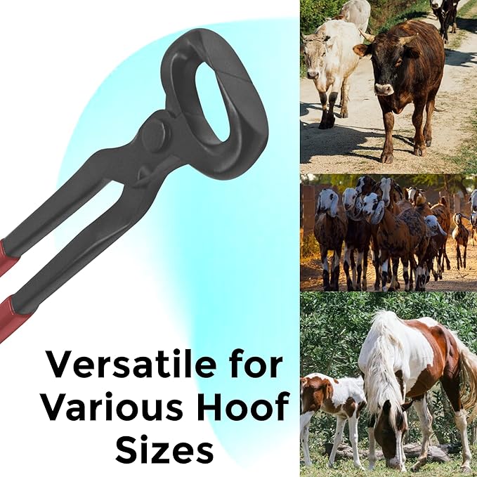 12" Vinyl Hoof Nipper, Carbon Steel & Chrome Vanadium Farrier Tool for Horses – Durable, Sharp & Rust-Resistant.