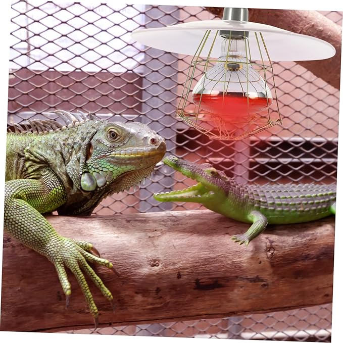 Angoily 3pcs Livestock Heat Lamp Kit Warming Light for Reptiles and Pets High Thermal Efficiency and Easy Installation for Lizard Cages and Animals