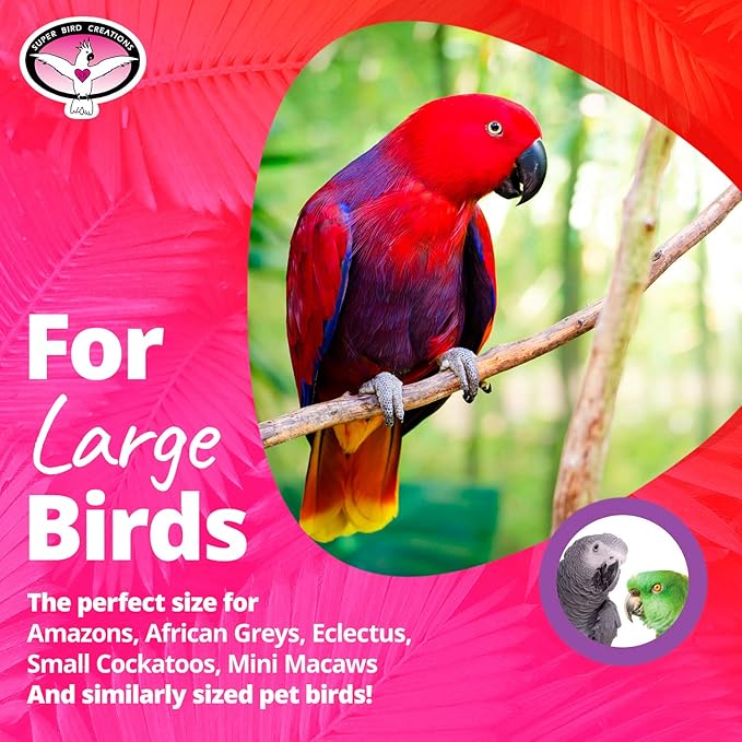 Super Bird Creations - SB440 4 Way Play Bird Toy - Colorful Wooden Blocks, Ringing Bell, and Bird Swing - Perfect Chew Toys for Mini Macaws, Parrots and African Greys - Ideal for Large Birds