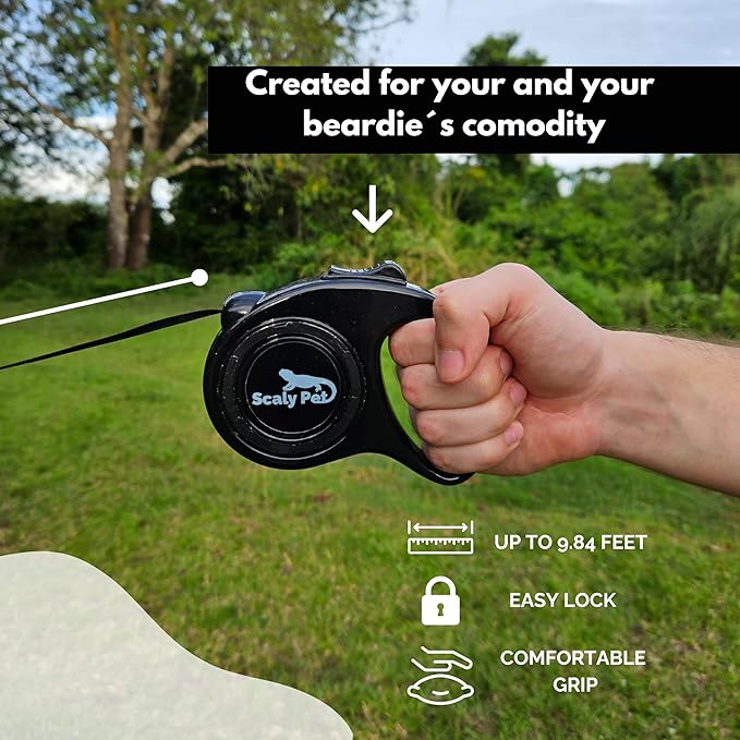 Bearded Dragon Leash and Harness Set, Leopard Gecko Leash, Wings & Butterfly Wings, Comfortable Fit, Retractable and Escape-Proof Lizard Harness and Leash, Bearded Dragon Accessories.