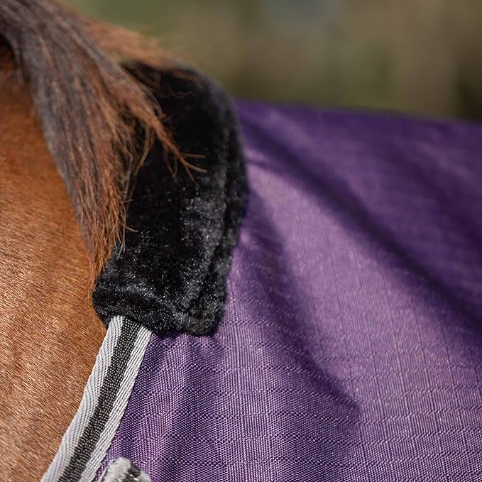 Equinavia Norse 200g Medium Weight Horse Blanket | Waterproof Winter Turnout - Black - 66 in - Grape Purple - 84 in