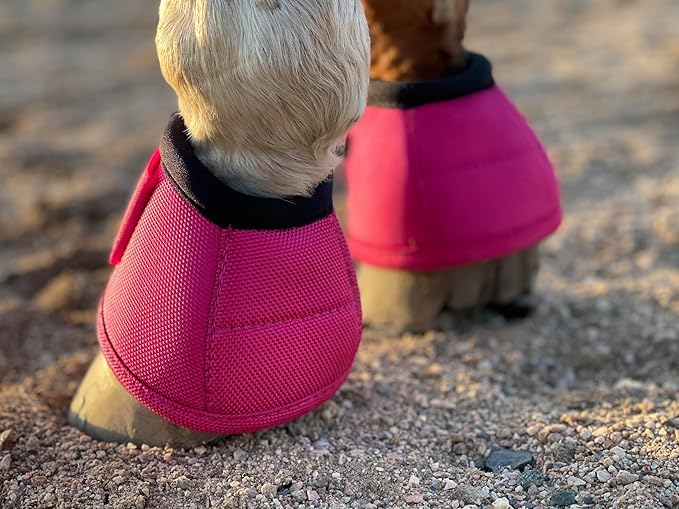 TGW RIDING 2520D Horse Bell Boots No-Turn Horse Bell Boots, Equine Ballistic Hoof Overreach Bell Boot, Pair