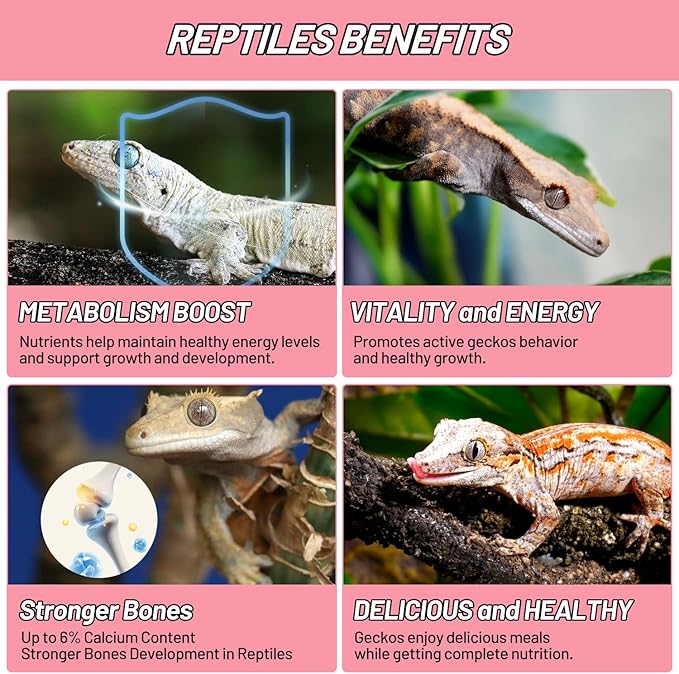 Crested Gecko Food, Fruit Mix Watermelon and Insects Complete Diet Gecko Food 2oz