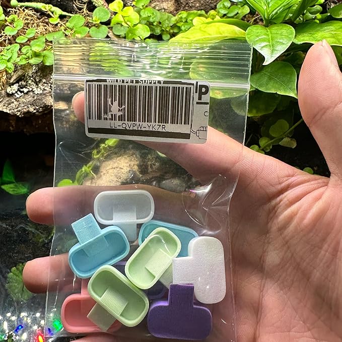 Isopod 10 Pack Feeding Dish | Isopod Food Tray | Insect Dish | Insect Feeder | CTWPets (Pastel Tones)