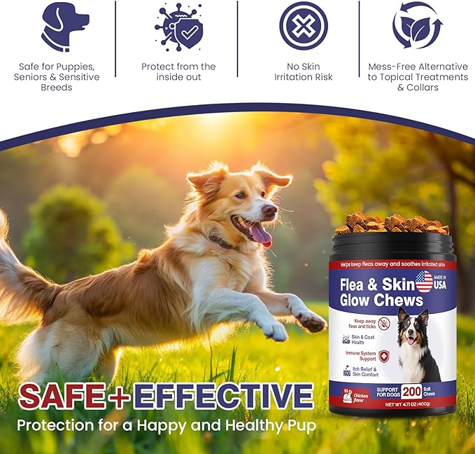 Flea and Tick Prevention for Dogs Chewable Omega Skin and Coat Chews for Dogs Natural Pet Oral Flea Chewables Increase Hair Shine Nutritional Supplements 200 Soft All Breeds Ages Bison Flavor