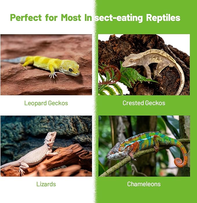 Crested Gecko Food Insect Puree, Hornworm Paste Reptile Food Made with Fresh Insects 2.82oz