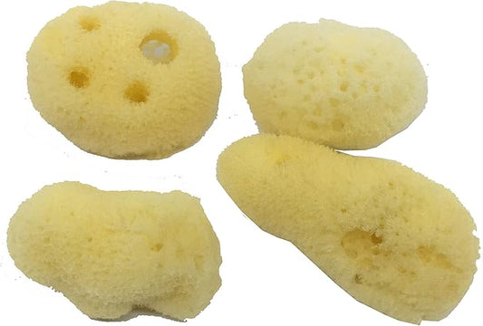 Awesome Aquatic Natural Hermit Crab Sponges 4 Pack Natural Sea Sponge Maintains Providing Humidity Helps with Drinking Water Safety Provides Minerals and Nutrients(Regular 4 pk)