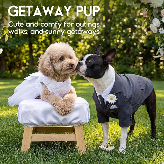ASENKU Dog Dress Pet Wedding Dress Princess Lace Puppy Birthday Party Outfit Formal Apparel Girl for Small Medium Dogs Cats (XX-Small, White)
