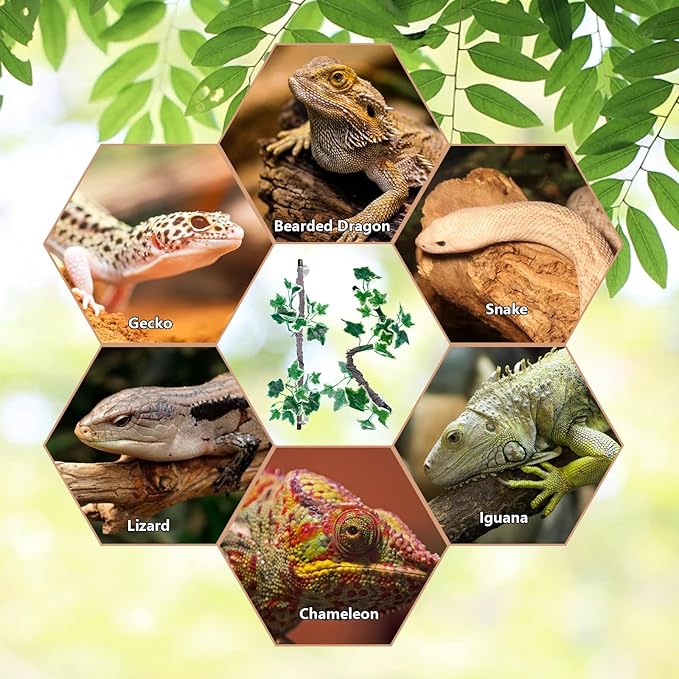 BNOSDM 2PCS Reptile Climbing Branch, Bendable Jungle Vine with Leaves Terrarium Plant Decoration with Suction Cup Chameleon Cage Accessories for Gecko Lizard Bearded Dragons Snake (White Vein Ivy)