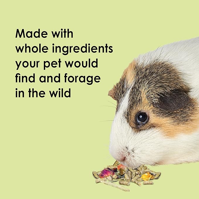 Kaytee Food from The Wild Natural Pet Guinea Pig Food,4 Pound,(Pack of 2)