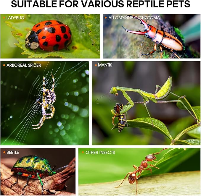 MYGIIKAKA Jumping Spider Enclosure Accessories, Tarantula Spider Box, Bug Cage, Praying Mantis Habitat Enclosure, Snail Insect Terrarium, Caterpillar Habitat (3x3x6 inch)