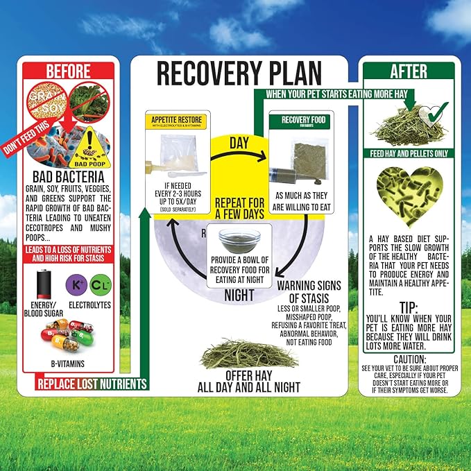 Sherwood Pet Health Guinea Pig Timothy Recovery Food (800g). Grain Free, Soy Free. Great Taste that Guinea Pigs Love with Motility Herbs.