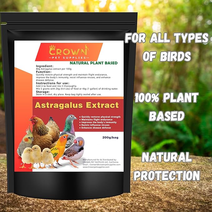 Astragalus Extract Powder for Birds – All-Natural Immune Support Supplement for Backyard Chickens, Poultry, Pigeons, & Parrots – Natural Immune Booster – Safe for All Birds