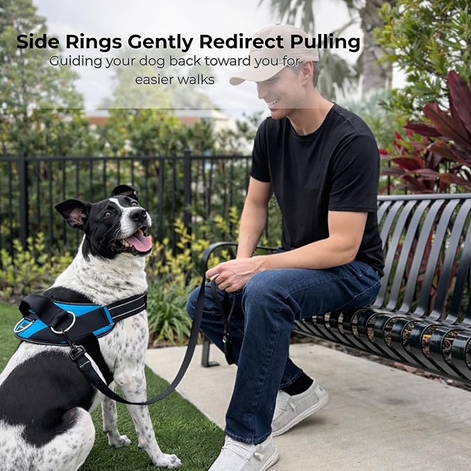 ShawnCo Essential Dog Harness, No-Pull Pet Vest with 3 Leash Clips, No Choke, Reflective, Adjustable and Padded, for Easy Walking and Training for Small, Medium and Large Dogs (Seafoam, L)